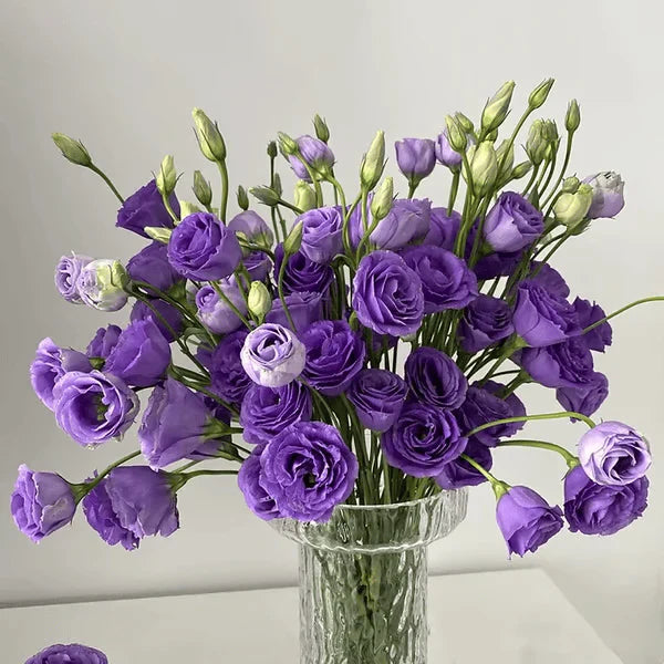Eustoma Rosa Sem Espinhos💐Sementes de Lisanthus