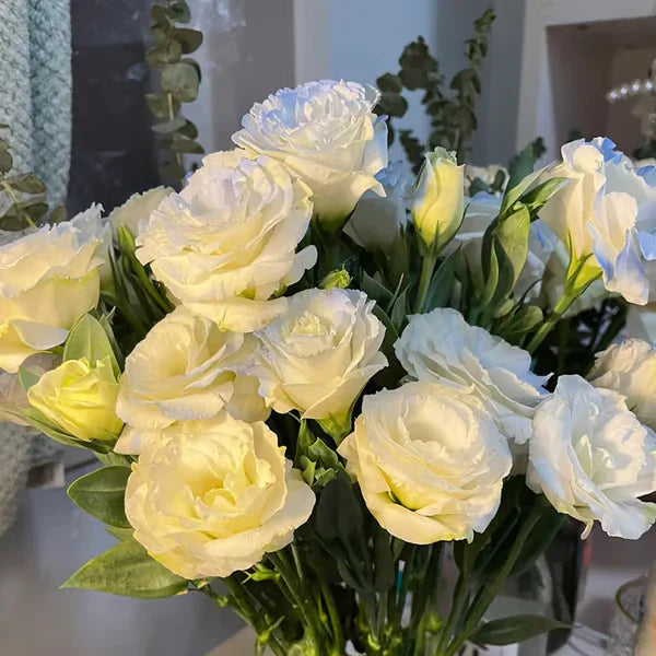 Eustoma Rosa Sem Espinhos💐Sementes de Lisanthus